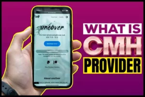 What Is CMH Provider