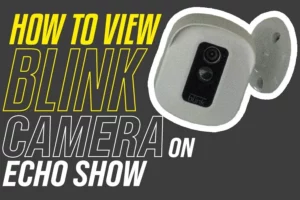 How To View Blink Camera On Echo Show